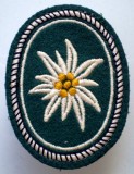 M.120 GERMANIA EMBLEMA ECUSON PATCH MILITAR BUNDESWEHR 1 Gebirgsdivision