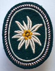 M.120 GERMANIA EMBLEMA ECUSON PATCH MILITAR BUNDESWEHR 1 Gebirgsdivision