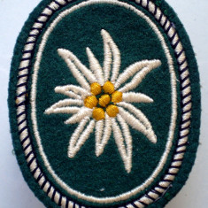 M.120 GERMANIA EMBLEMA ECUSON PATCH MILITAR BUNDESWEHR 1 Gebirgsdivision