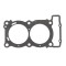 Garnitura Chiuloasa Moto Athena YAMAHA TDM900 02-08