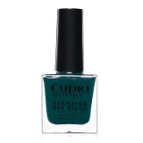 Oja pentru stampila Cupio Deep Green 10ml