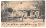 5580 - ORASTIE, Hunedoara, Litho, Romania - old postcard - used - 1898, Circulata, Printata