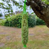 Batoane cu Arahide 0.18kg pentru Păsări Sălbatice, 2 buc.