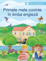 Primele mele cuvinte in limba engleza - Colectiv foto