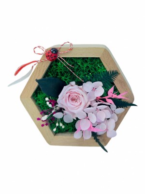Aranjament floral hexagon cu licheni , mini roza si plante criogenate (Roz) foto