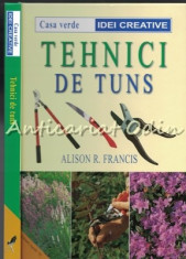 Tehnici De Tuns - Alison R. Francis foto