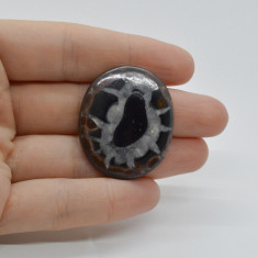 Cabochon septaria negru 36x30x5mm c7