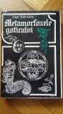 Jurgis Baltrusaitis - Metamorfozele Goticului Evul Mediu Gotic European 200 ill.