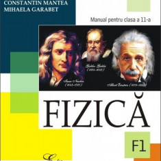 Fizica (F1). Manual pentru clasa a XI-a - Constantin Mantea, Mihaela Garabet