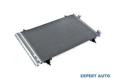 Radiator aer conditionat Citroen C4 Picasso I (UD_) 2007-2013 #1 foto