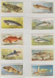 1935 Pesti marini - set complet 50 cartonase PLAYER&#039;S Cigarette Cards