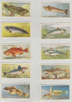 1935 Pesti marini - set complet 50 cartonase PLAYER&amp;#039;S Cigarette Cards foto