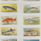 1935 Pesti marini - set complet 50 cartonase PLAYER&#039;S Cigarette Cards