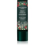 Yves Rocher Winter Berries balsam de buze cu efect emolient 4.8 g