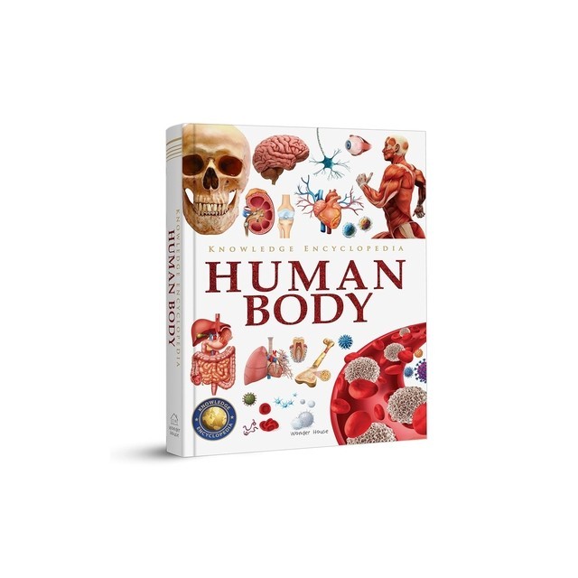 Knowledge Encyclopedia: Human Body