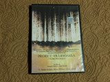 DVD film thriller PROIECT VRAJITOAREA (The Blair Witch Project), Romana