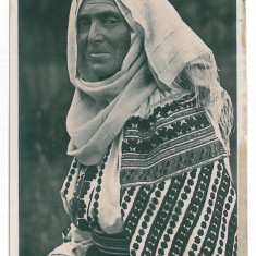 4563 - MUNTENIA, ETHNIC woman, Romania - old postcard, real PHOTO - unused