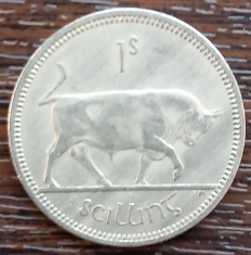 (M1955) MONEDA IRLANDA - 1 SCILLING 1964 foto