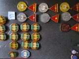 INSIGNE VINTAGE , 40 lei bucata, interesante . pentru decorare genti , sepci , tricouri .