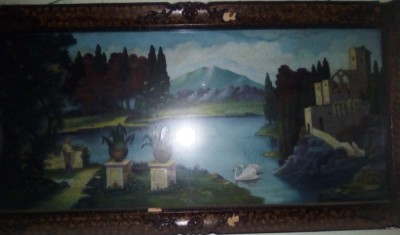 Tablouri vintage deosebite foto