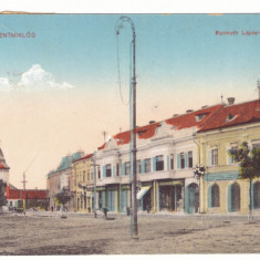 3486 - SFANTU GHEORGHE, Covasna, Market, Romania - old postcard - used - 1922