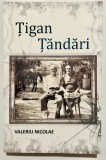 Tigan Tandari, Valeriu Nicolae, stare foarte buna, Asociatia Casa Buna, 2022
