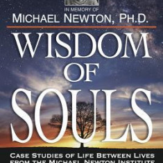 Wisdom of Souls: Case Studies of Life Between Lives from the Michael Newton Institute