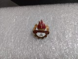Insigna pionieri Sint gata Intotdeauna