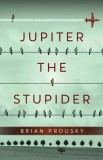Jupiter the Stupider