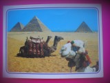 HOPCT 6632 CAMILE LA... PIRAMIDELE GIZA .-EGIPT-STAMPILOGRAFIE-AFRICA-CIRCULATA
