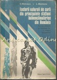 Factorii Naturali de Cura - Statiuni Balneoclimat, C. Stoicescu, L. Munteanu, 1976, Bucuresti