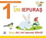 1 de la Un iepuras | Greta Cencetti, Emanuela Carletti, Didactica Publishing House