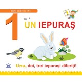 1 de la Un iepuras - Necartonata