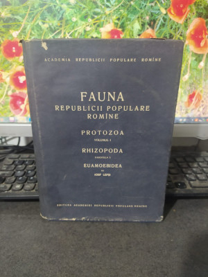 Fauna Republicii Populare Rom&amp;acirc;ne Protozoa vol 1 Rhizopoda fasc 2 Euamoebidea 002 foto