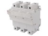 Separator cu Fuzibil 22x58mm pentru Șină DIN 100A 690VAC