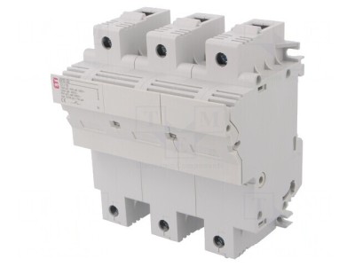 Separator cu Fuzibil 22x58mm pentru Șină DIN 100A 690VAC foto