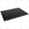 LCD pentru iPad 2