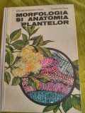 Morfologia si anatomia plantelor-Conf.Dr.Doc.Gabriela Serbanescu Jitariu,C.Toma