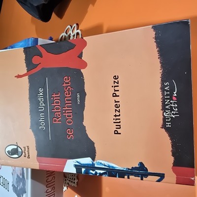 JOHN UPDIKE - RABBIT SE ODIHNESTE foto