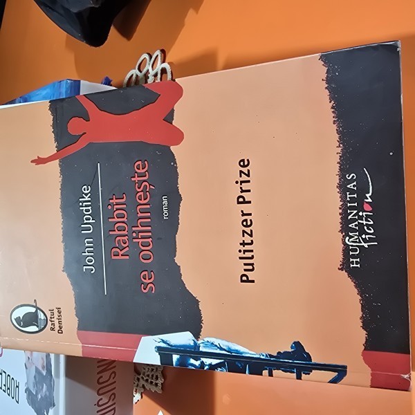 JOHN UPDIKE - RABBIT SE ODIHNESTE