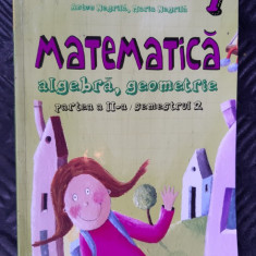 MATEMATICA ALGEBRA GEOMETRIE CLASA A VII A SEMESTRUL 2 NEGRILA PARALELA 45