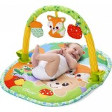 Cumpara ieftin Centru de activitati pentru bebelusi Chicco Magic Forest 3 in 1 -- 80x60cm