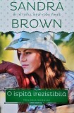 Cumpara ieftin O Ispita Irezistibila - Sandra Brown - Editura Litera, 2014, 252 Pagini, Brosata - Romantic Suspense