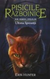 Cumpara ieftin Ultima speranta. Seria Pisicile razboinice. Sub Semnul Stelelor. Volumul 24/Erin Hunter, Galaxia Copiilor