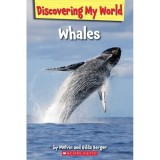 Cumpara ieftin Discovering My World: Under the Sea: Whales