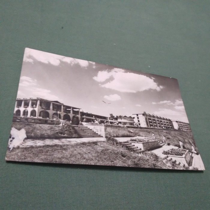CARTE POSTALA -MANGALIA -PE FALEZA CIRCULATA