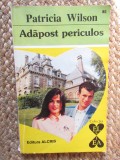 Adapost periculos &ndash; Patricia Wilson, ACS
