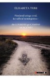 Pamantul atinge cerul, iar sufletul nemarginirea - din Lourdes pe Camino Aragones - Elisabeta Turi
