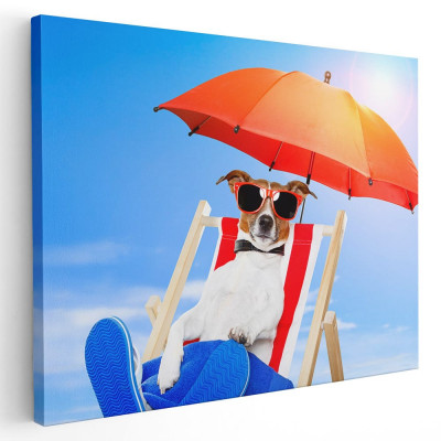 Tablou caine pe sezlong si umbrela plaja Tablou canvas pe panza CU RAMA 50x70 cm foto