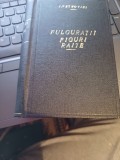 Ion Petrovici - Fulgurații literare. Figuri dispărute. Raite prin țară